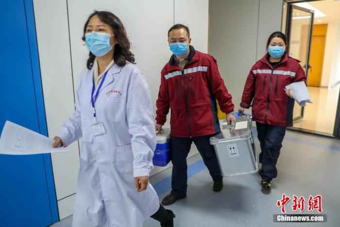  探访武汉病原检测实验室：24小时值守让病毒无处遁形